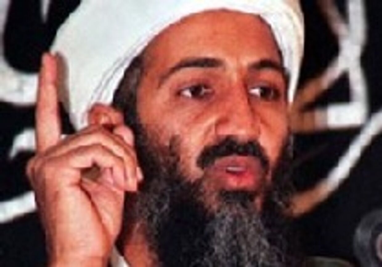 Осама бен Ладен: Так кто же дурак? picture