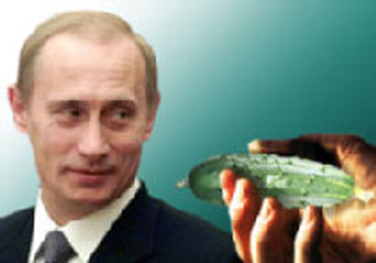 И огурец, купленный Путиным на рынке, становится музейным экспонатом picture