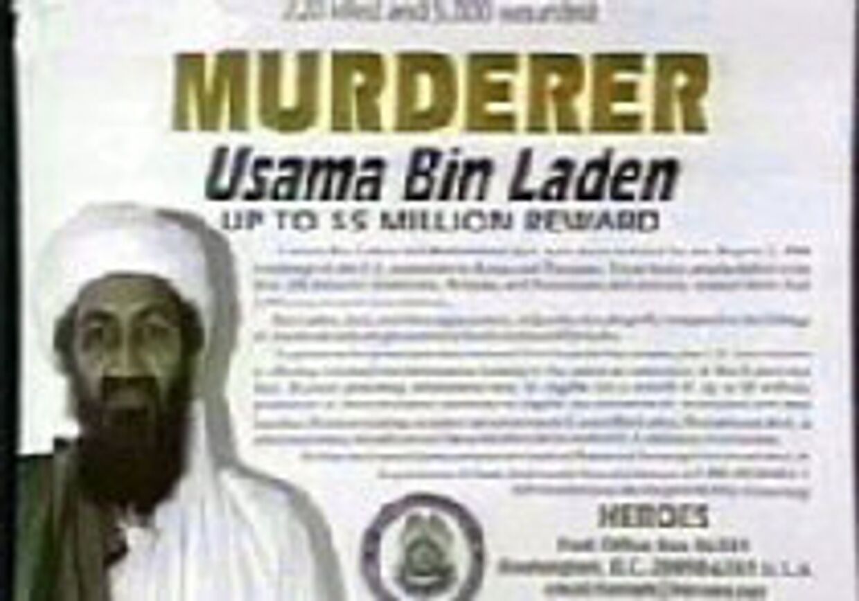 Новые данные указывают на бин Ладена picture