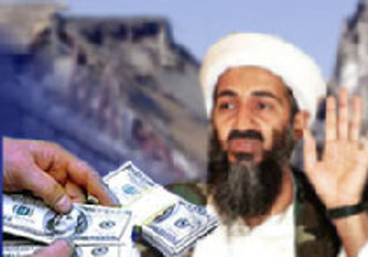 Мировой рэкет на службе бен Ладена picture