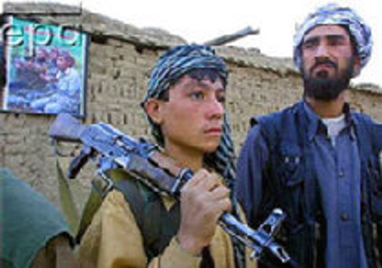 Аль-Каида приобретала в США смертоносное оружие picture