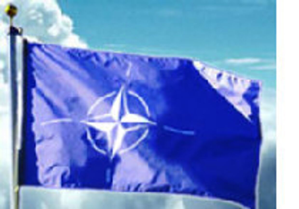 НАТО мертва, только об этом не знает picture