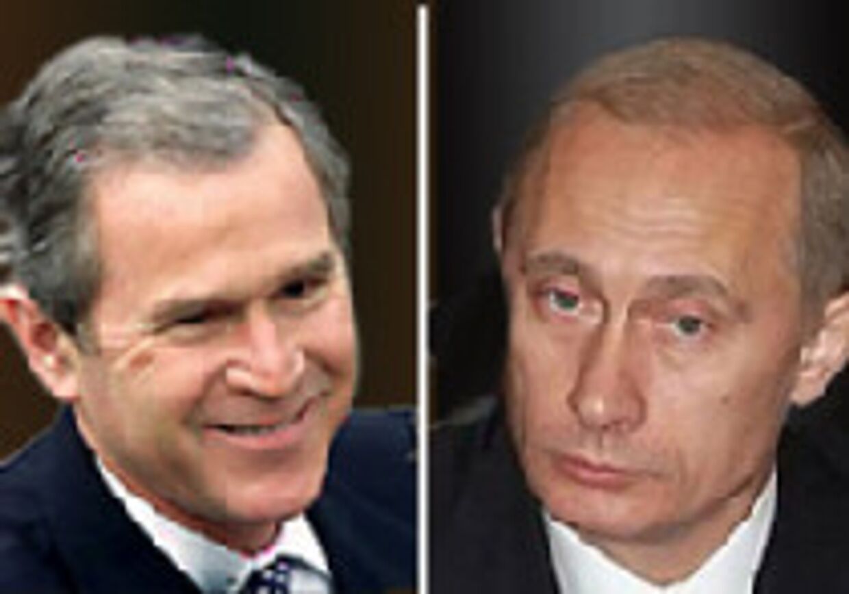 Буш-младший и Путин могут найти общий язык picture
