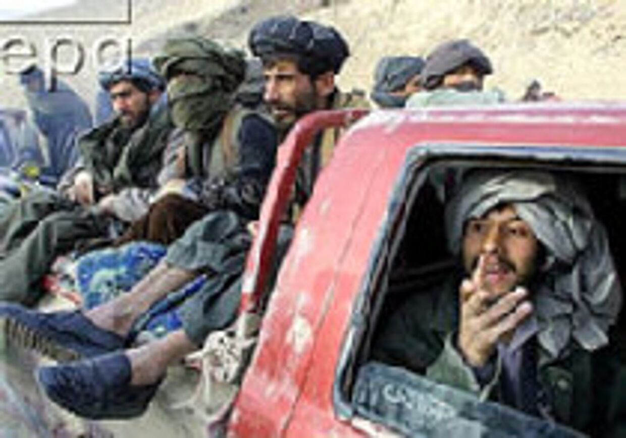 Аль-Каида переживет бен Ладена picture