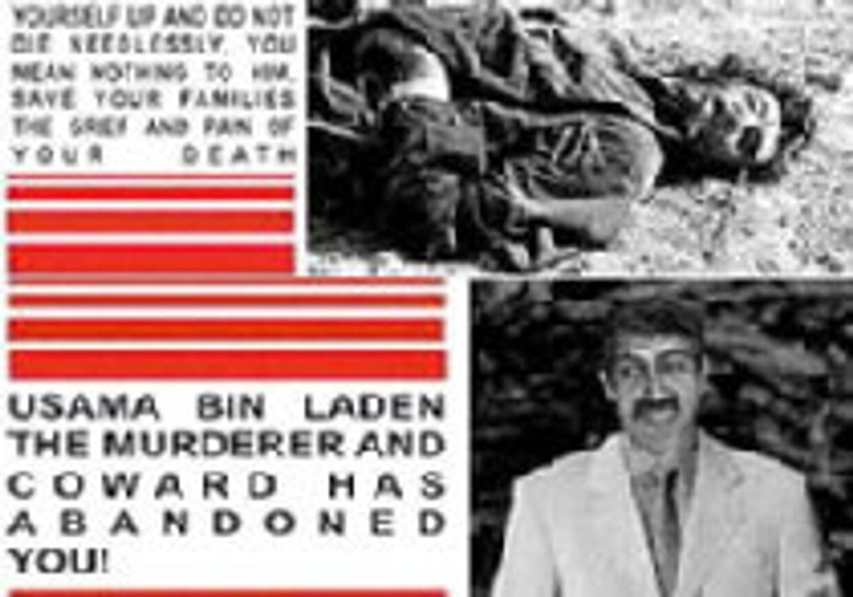 Бен Ладен и американская пропаганда picture