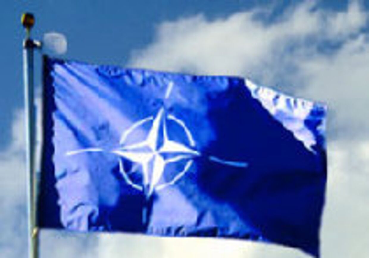 Новая роль для НАТО picture