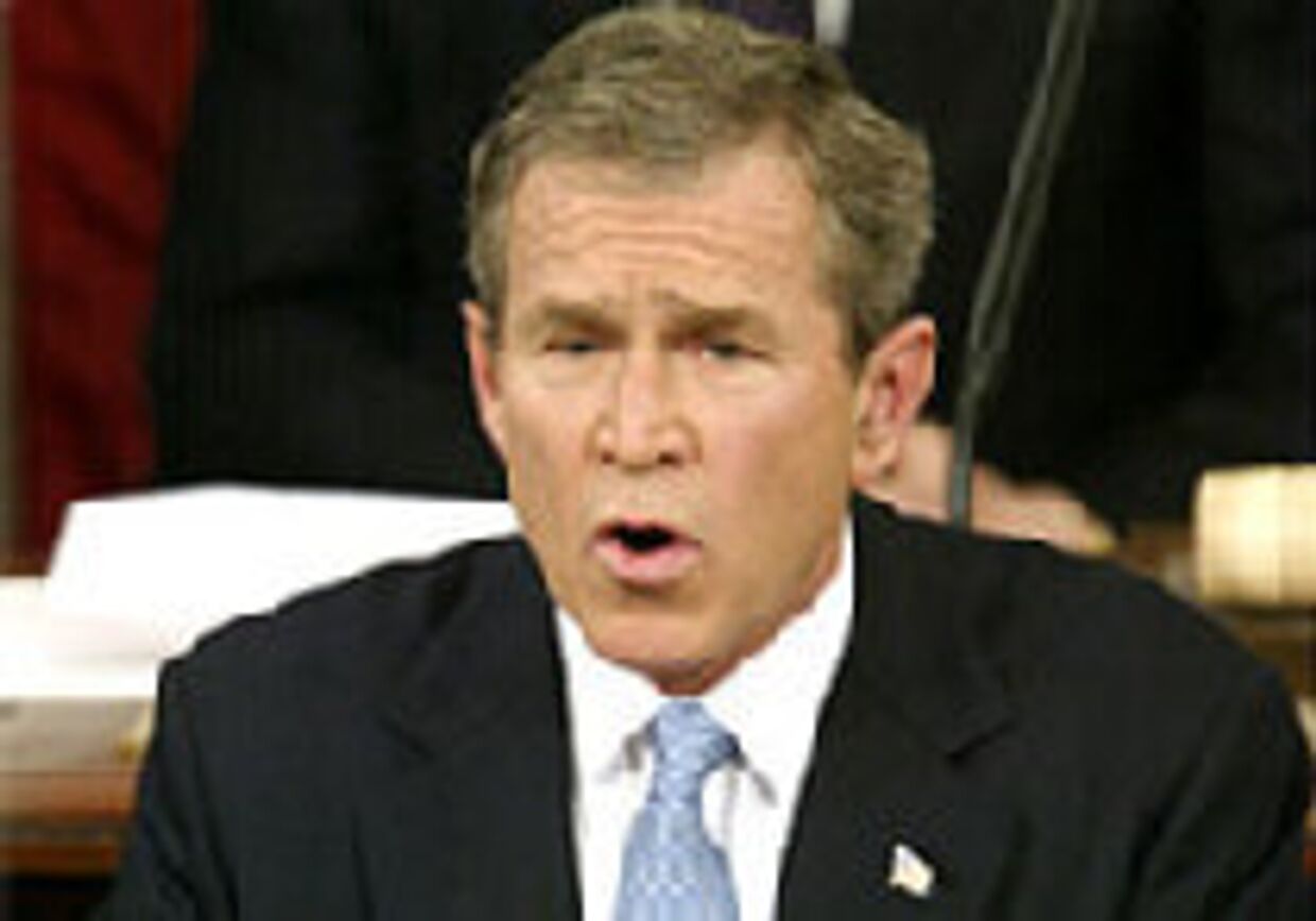 Заблуждение Джорджа Буша picture
