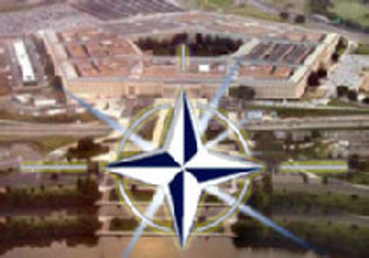 НАТО ╚потеряла ориентиры╩, говорят в Пентагоне picture