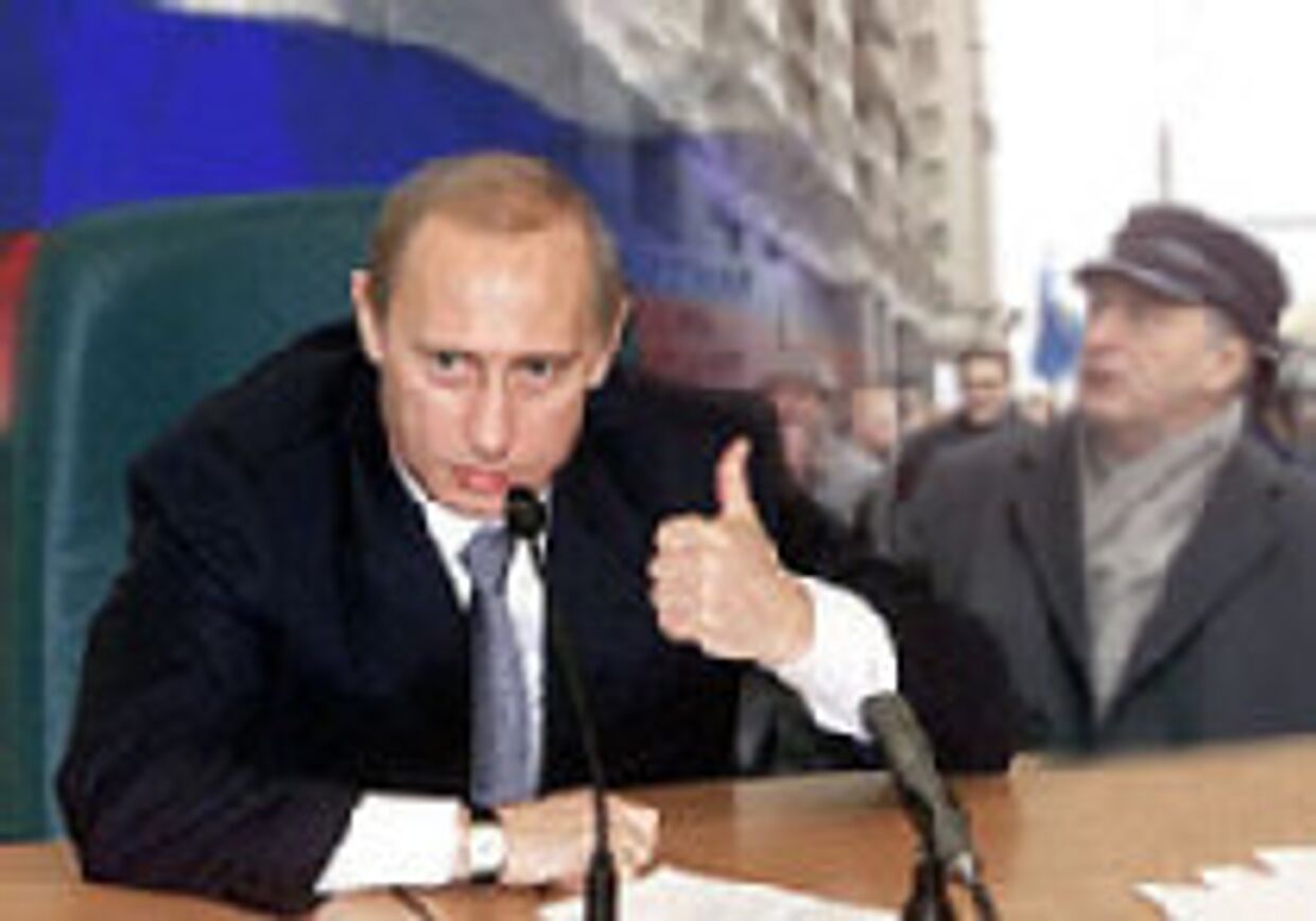 Жириновский Путину не страшен picture