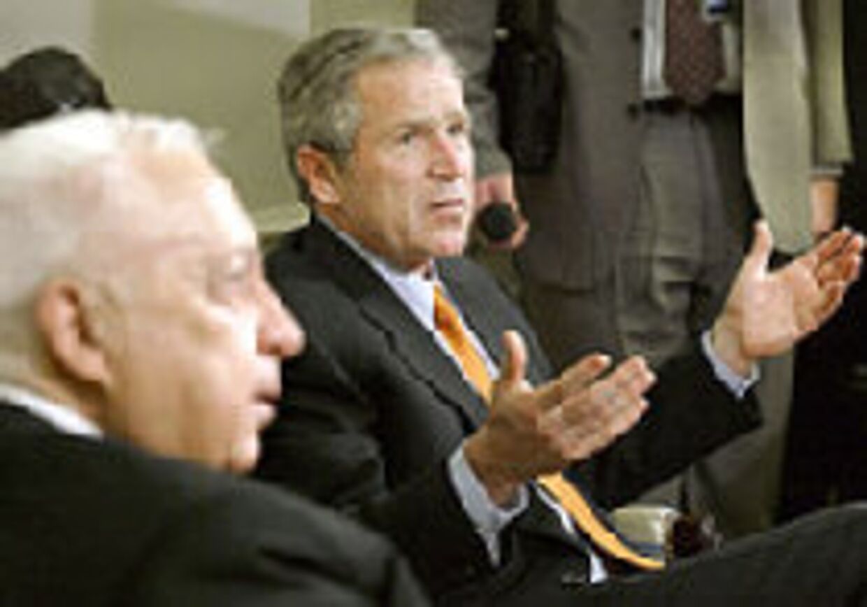 Шарон и Буш-младший не нашли общего языка в подходе к урегулированию ближневосточного кризиса picture