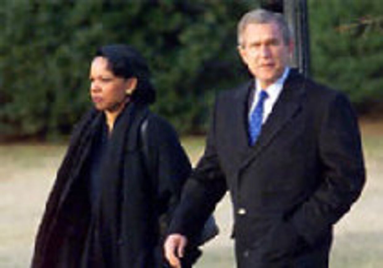 Буш и его советница - два сапога пара picture