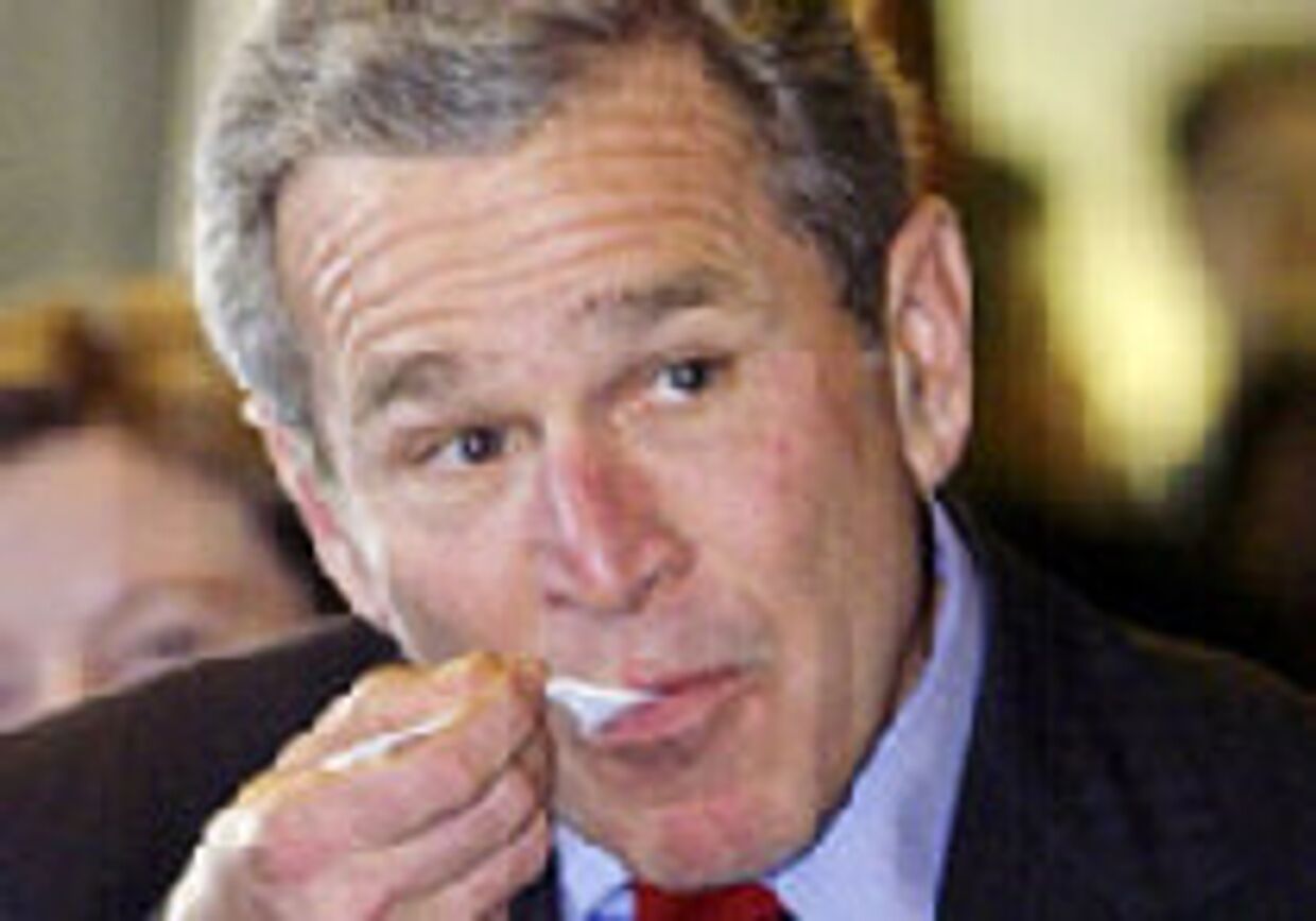 Что выпало у Буша из морды picture
