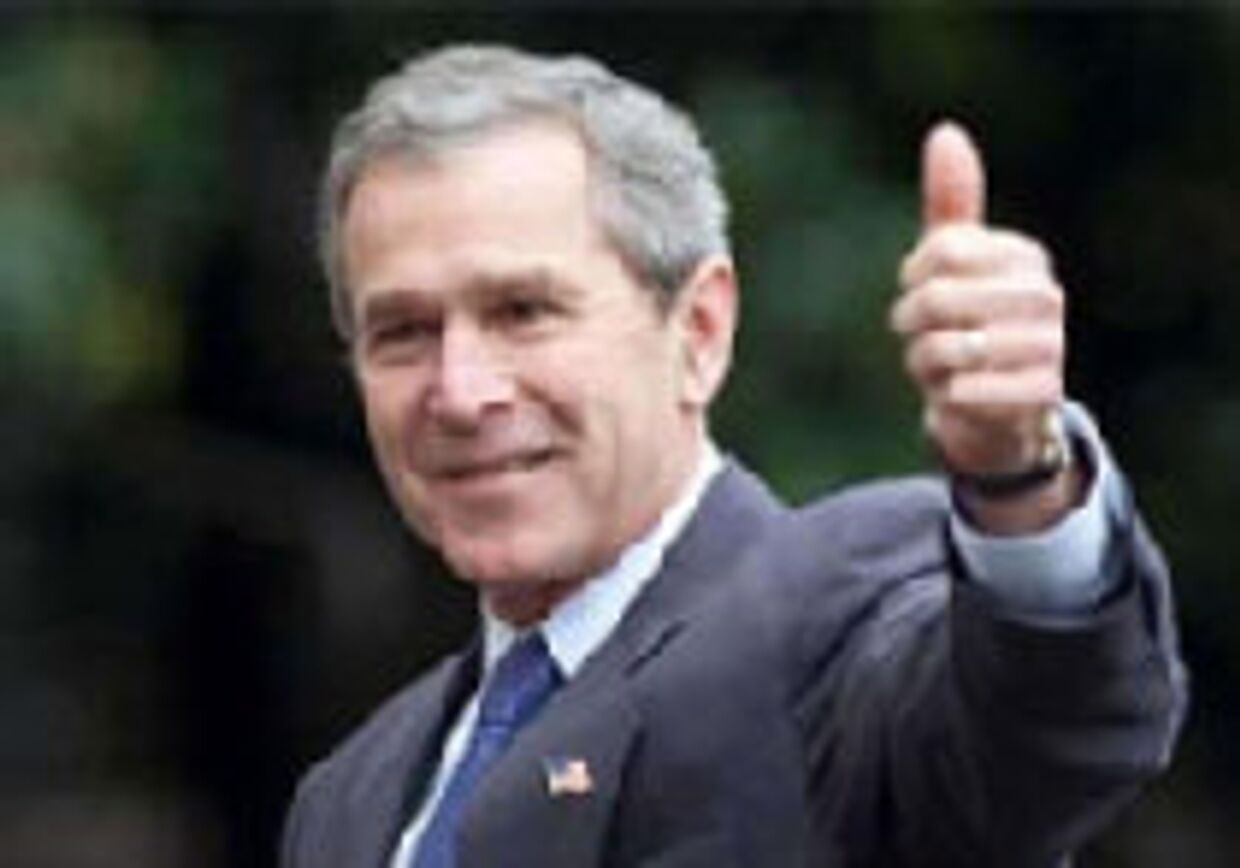 Выборы - 2002: Большая ночь г-на Буша-младшего picture