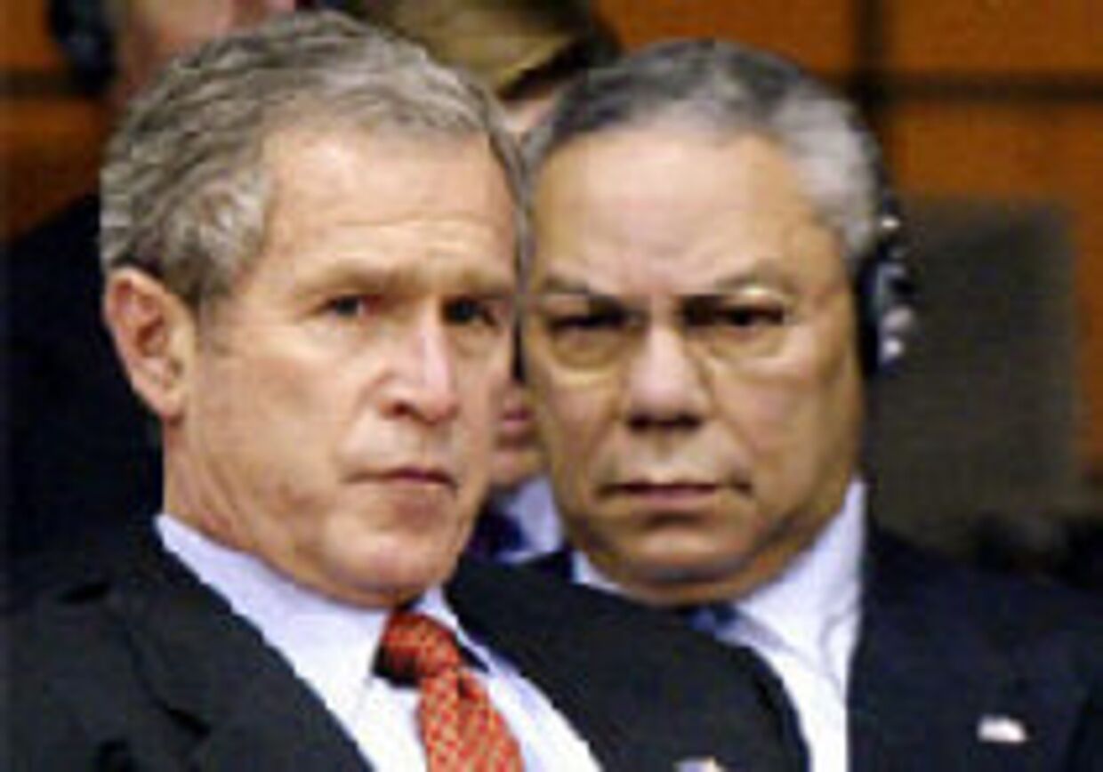 Буш-младший намерен оказать давление на российского лидера в вопросе о Чечне picture