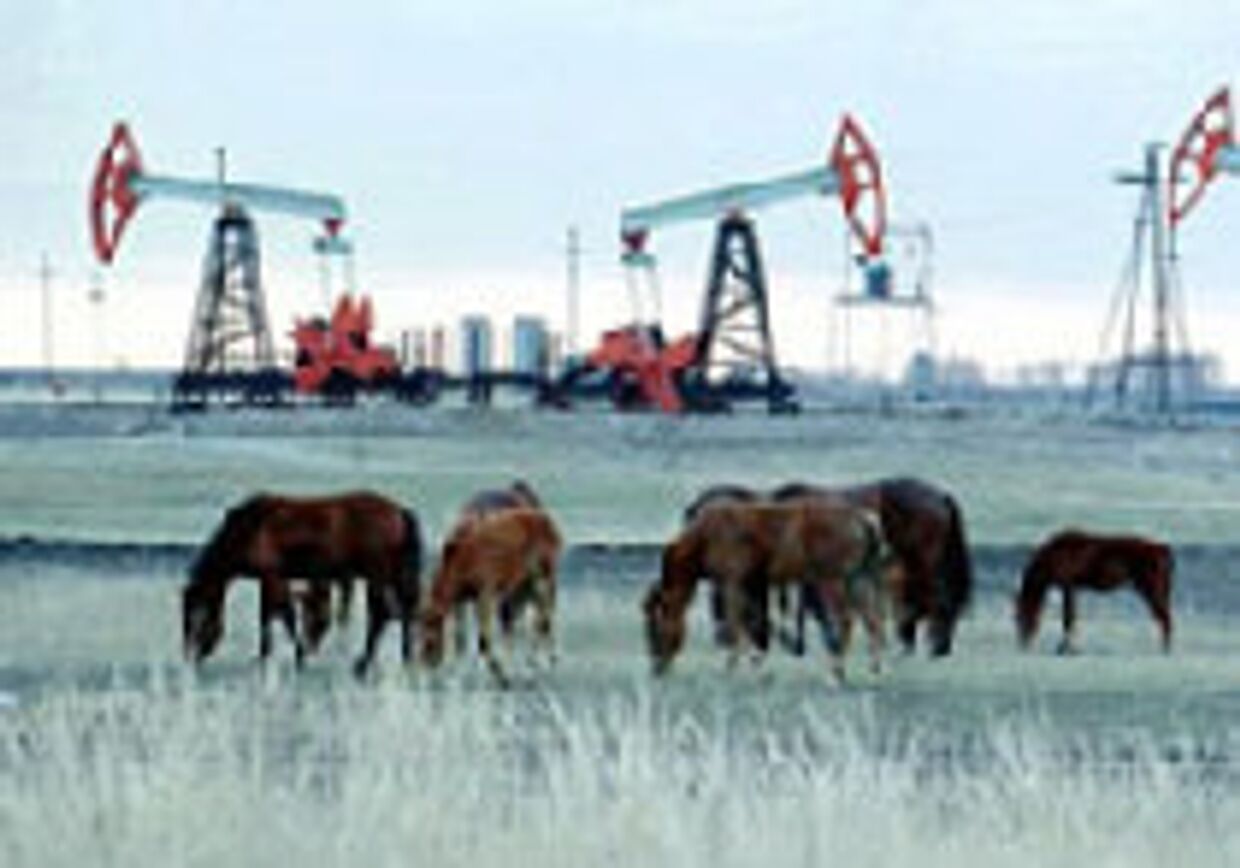 Купающаяся в нефтедолларах Россия пытается стабилизировать экономику picture