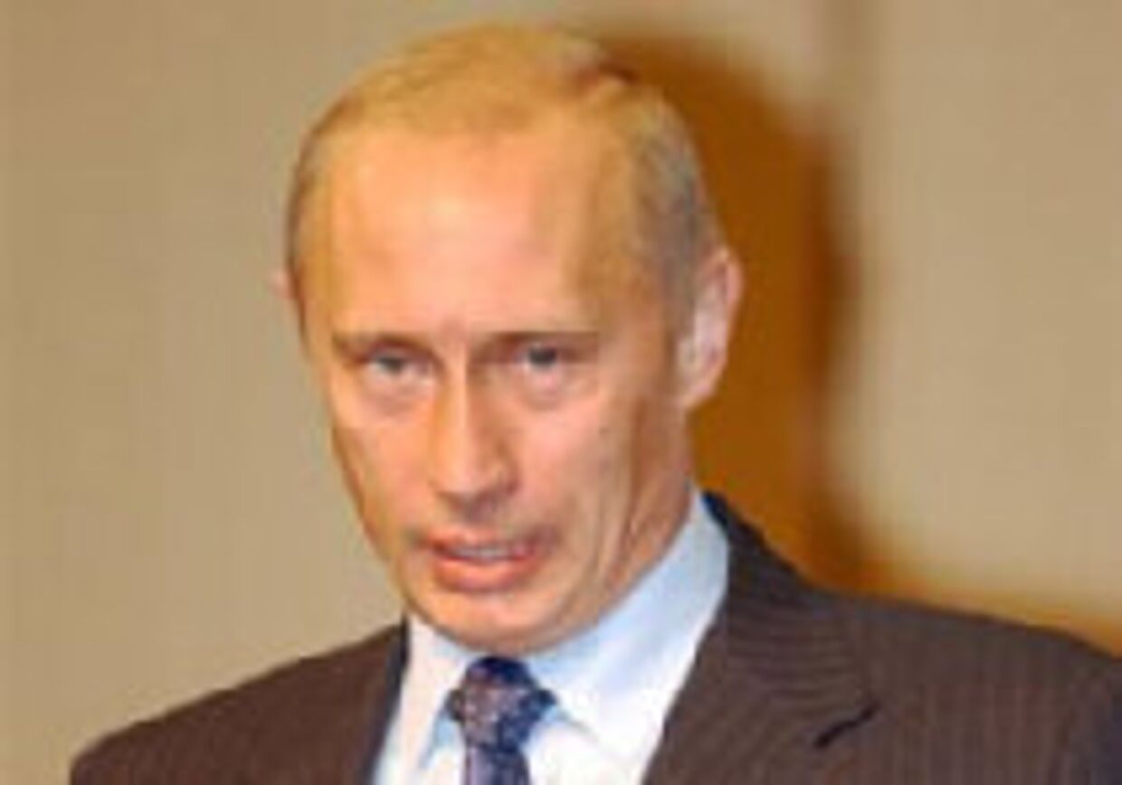 За официальной строкой: Путин о демократии picture