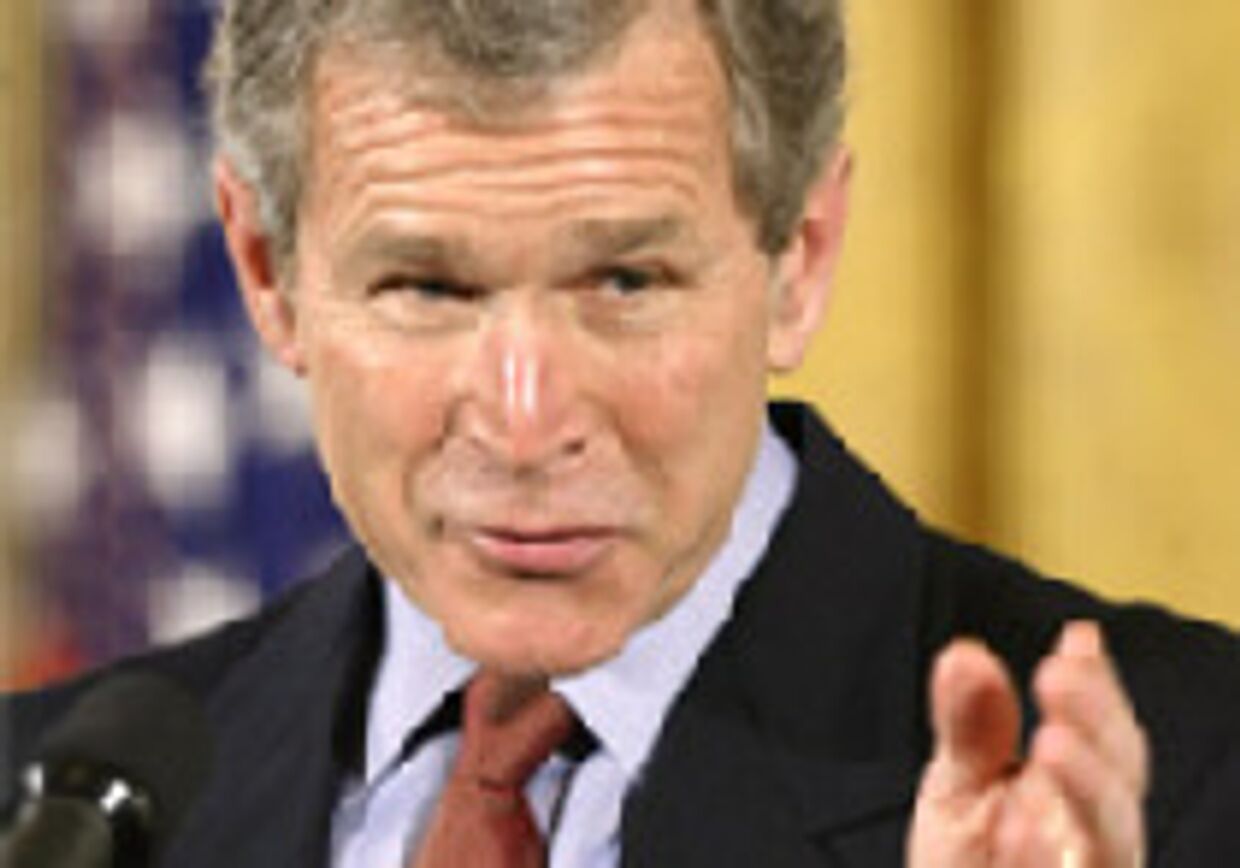'Анализация' состояния серого вещества президента Буша picture