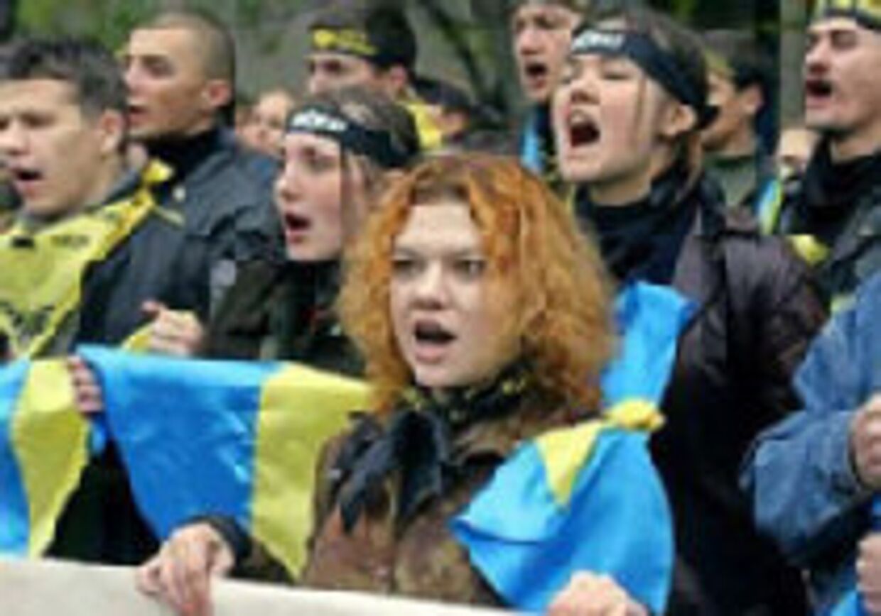За беспорядками в Киеве стоят американцы picture