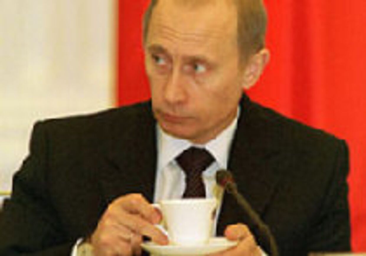 Питбуль Путин picture