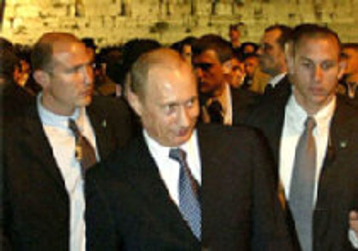 Лилейный Путин picture