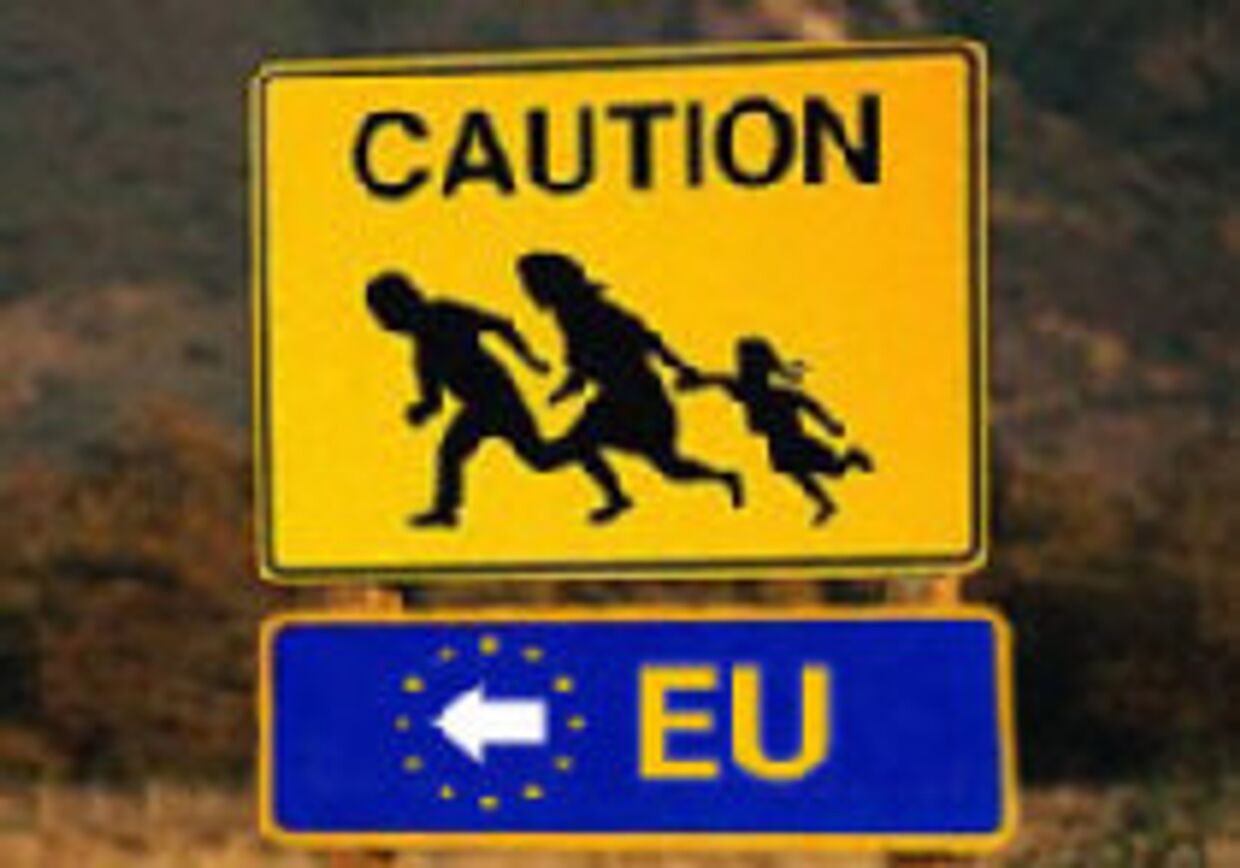 Миграция на Запад! picture