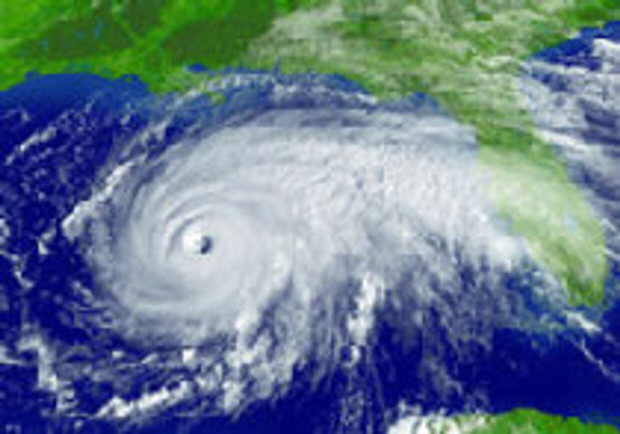 Американский метеоролог заявляет, что ураган Катрина наслали на Америку японские мафиози picture