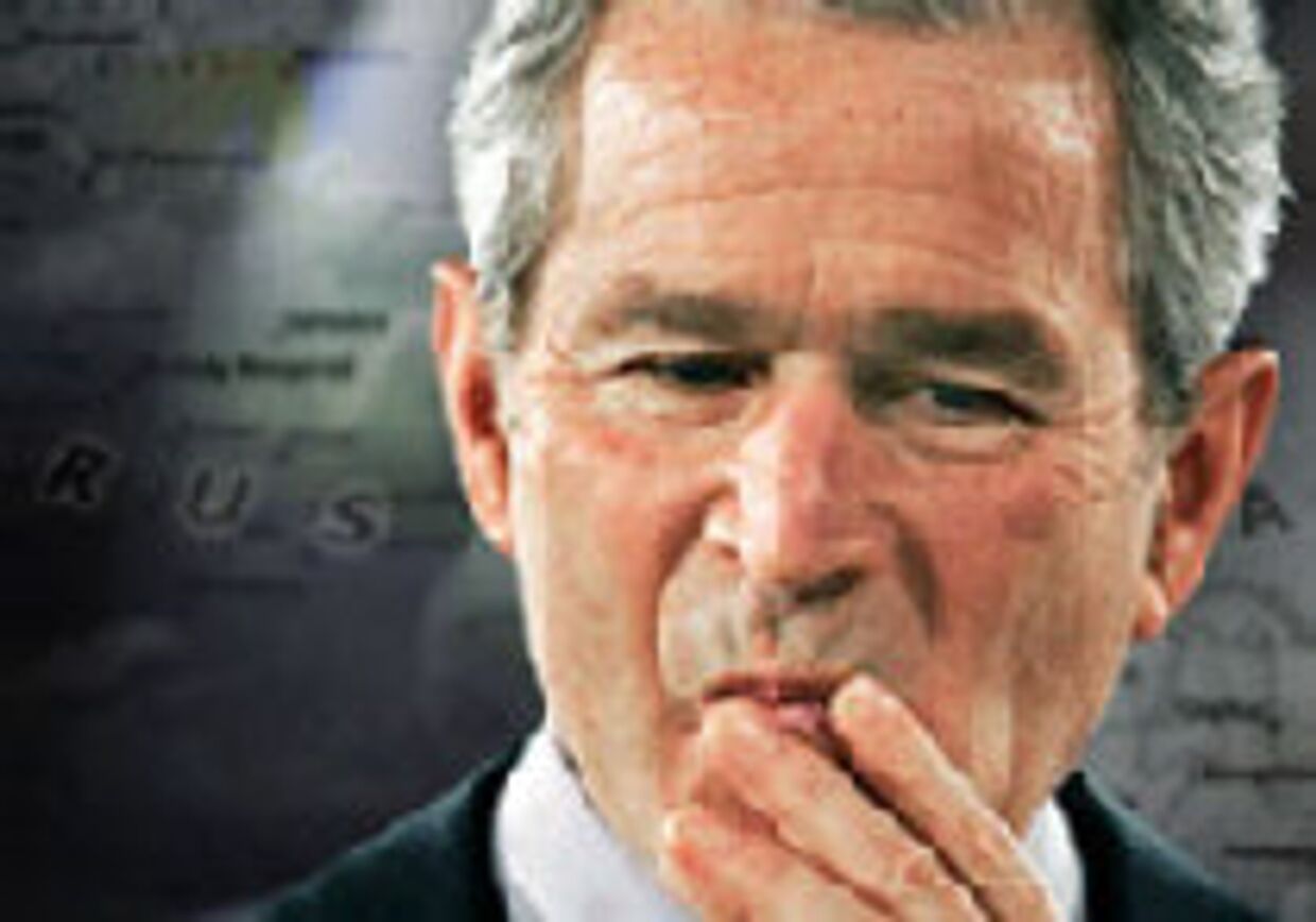 Долгое молчание Буша picture