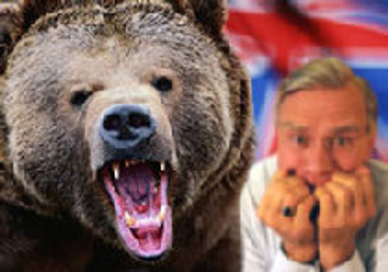 Встревоженный медведь: попробуем понять Владимира Путина picture