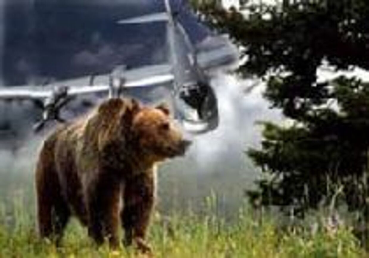 Русский медведь вернулся picture