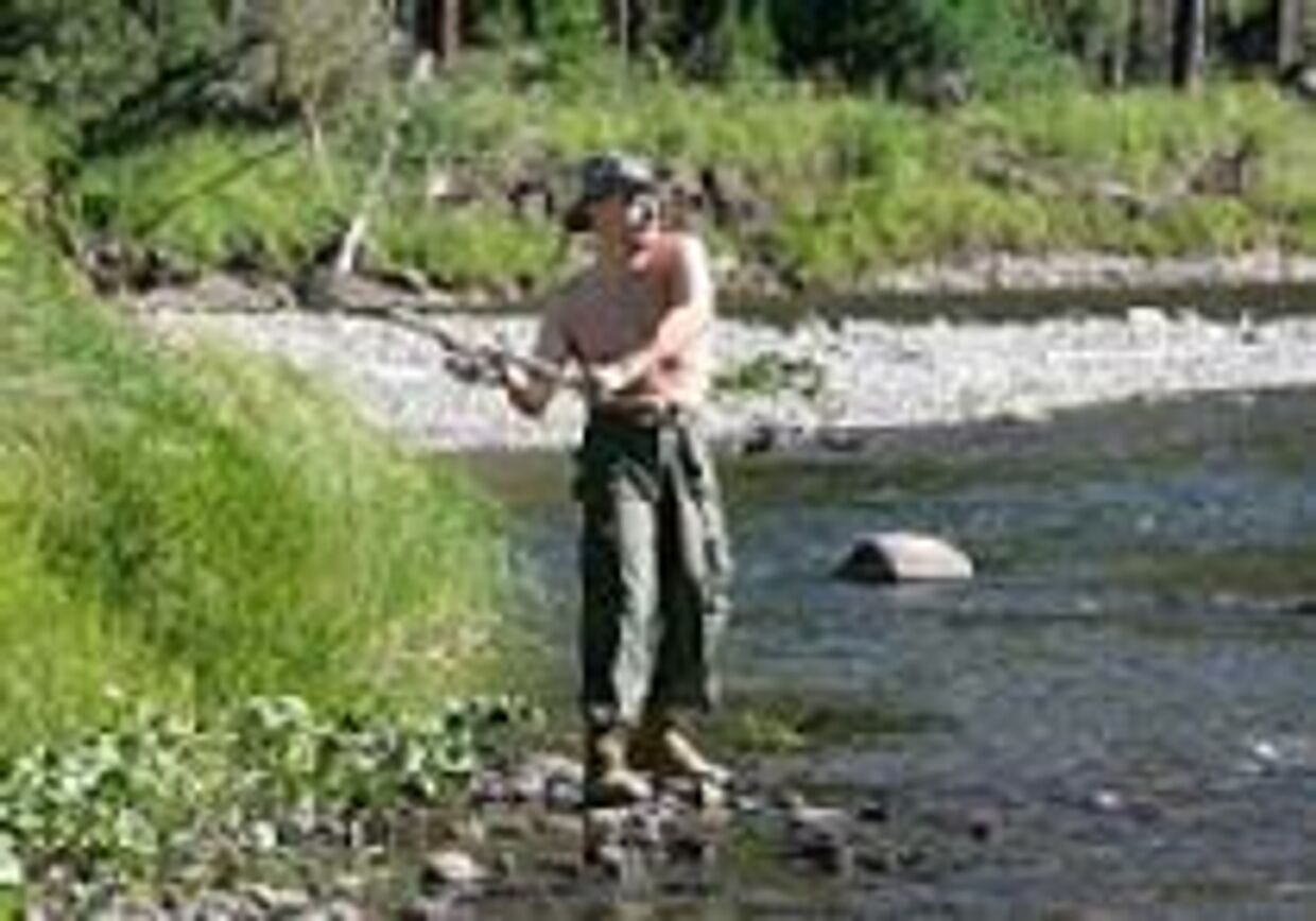 Русский медведь снимает шкуру: Путин на рыбалке picture