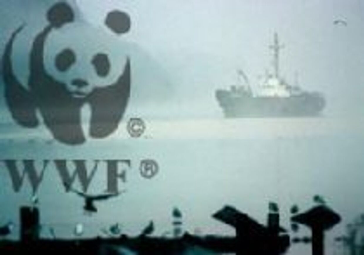 Всемирный фонд дикой природы настаивает на судебной проверке сахалинского проекта picture