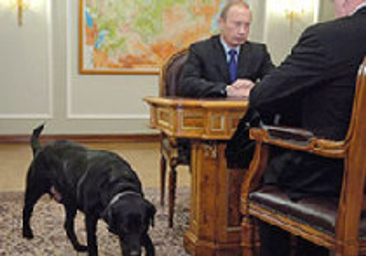 Владимир Путин, которому вскоре предстоит покинуть пост президента, уверен в своей власти picture
