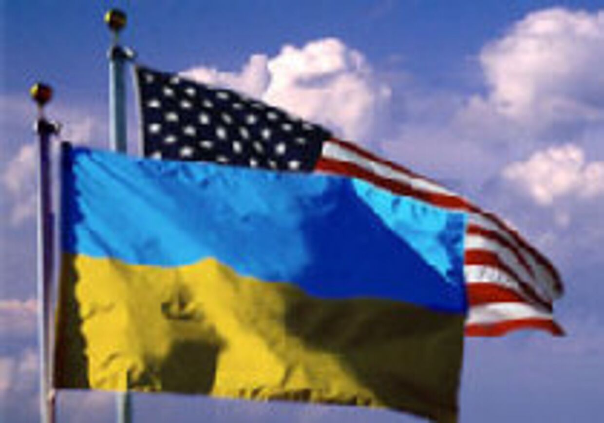 Украинской демократии нужна помощь США picture