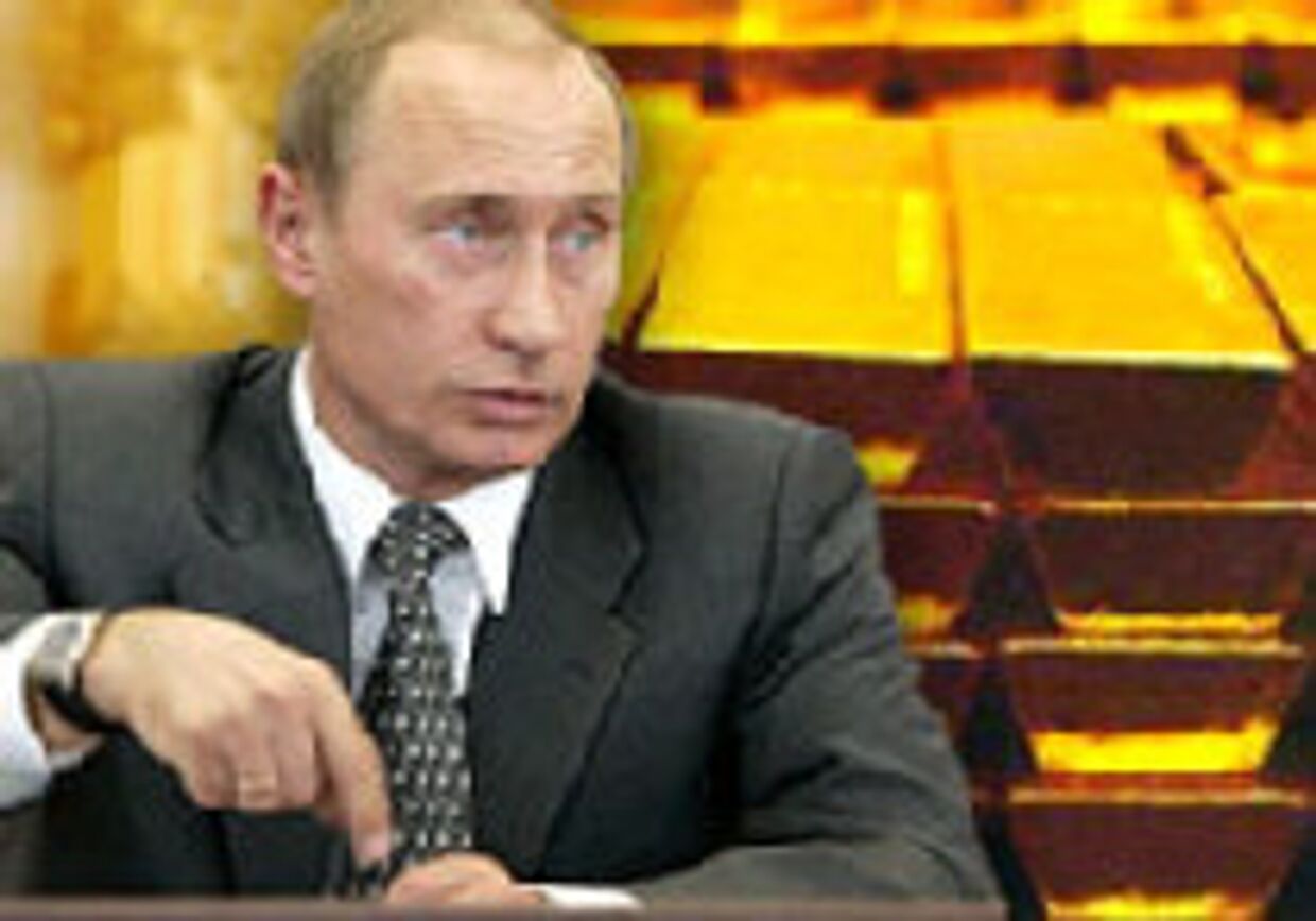 Владимир Путин развеивает опасения по поводу валютных резервов России picture