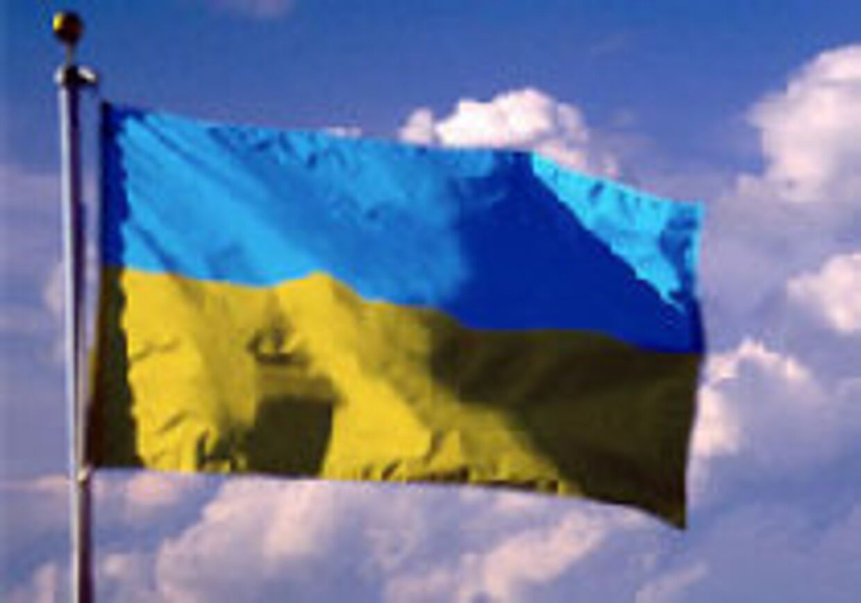 Украина отмечает День свободы picture
