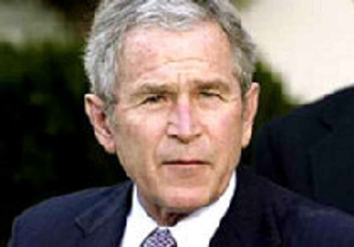Ради мира Буш должен прописать горькие пилюли picture