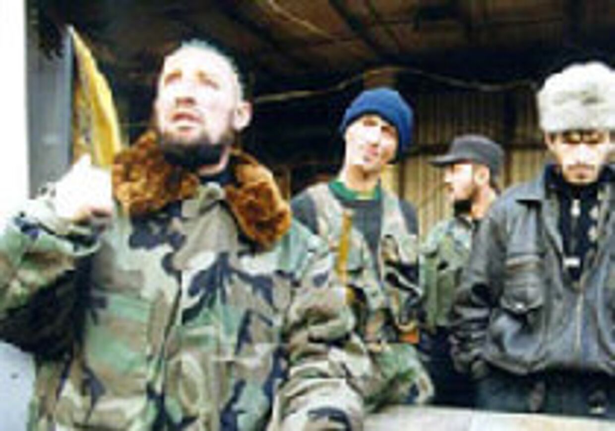 Русские кабаны и чеченские шакалы picture