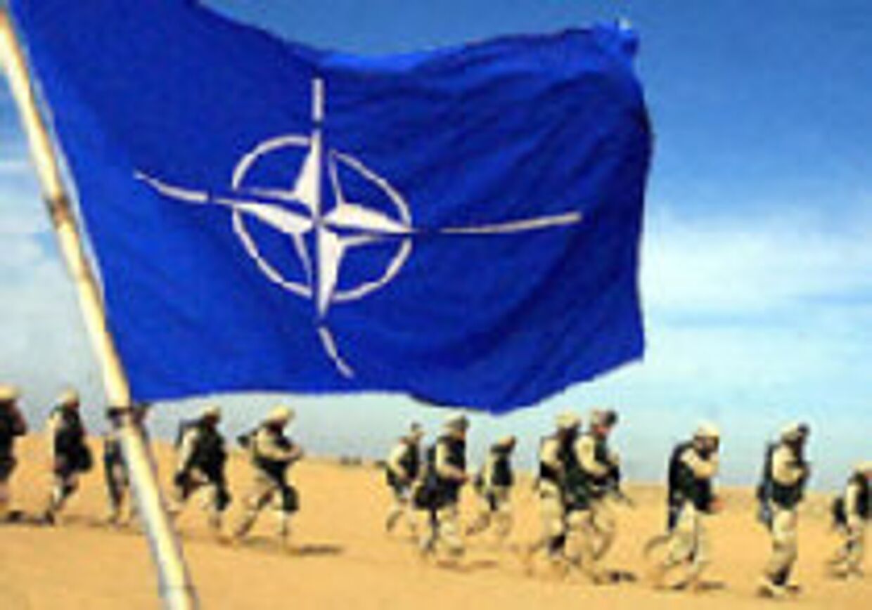 В НАТО нет места малодушию picture