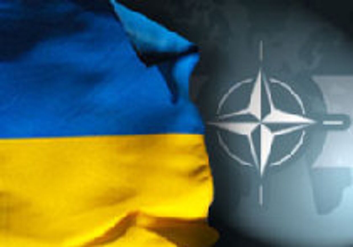 Камо грядеши, Украина? В НАТО! picture