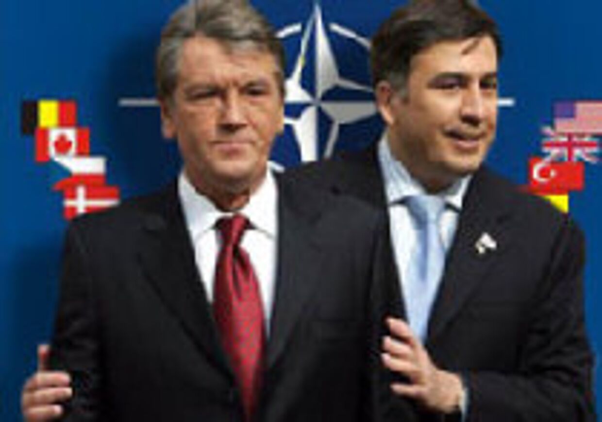 Украина и Грузия: перспективы членства в НАТО picture