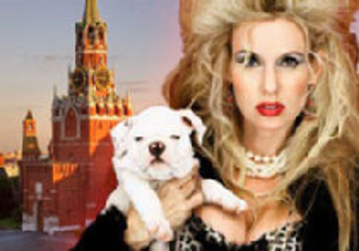 Блондинки планируют взять Кремль штурмом picture