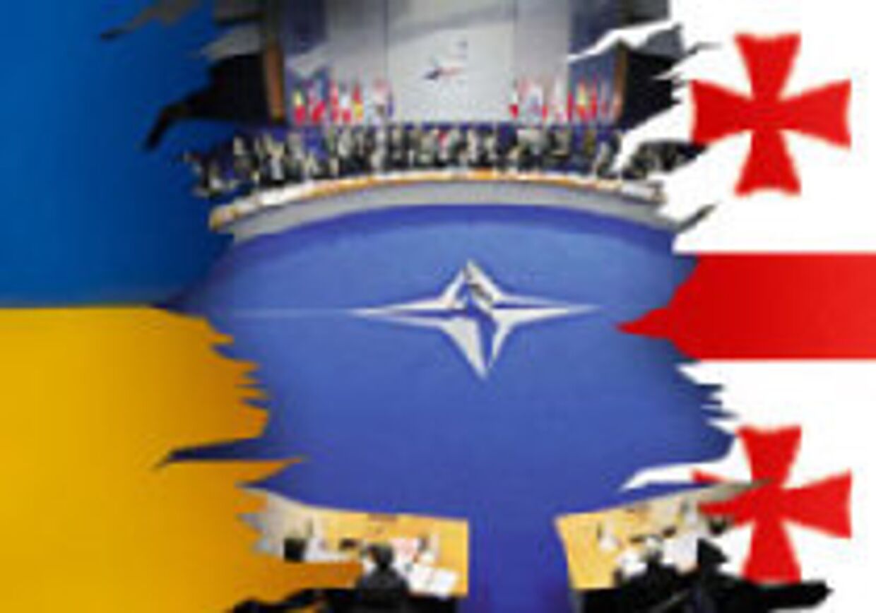 Тбилиси и Киев стремятся в НАТО picture