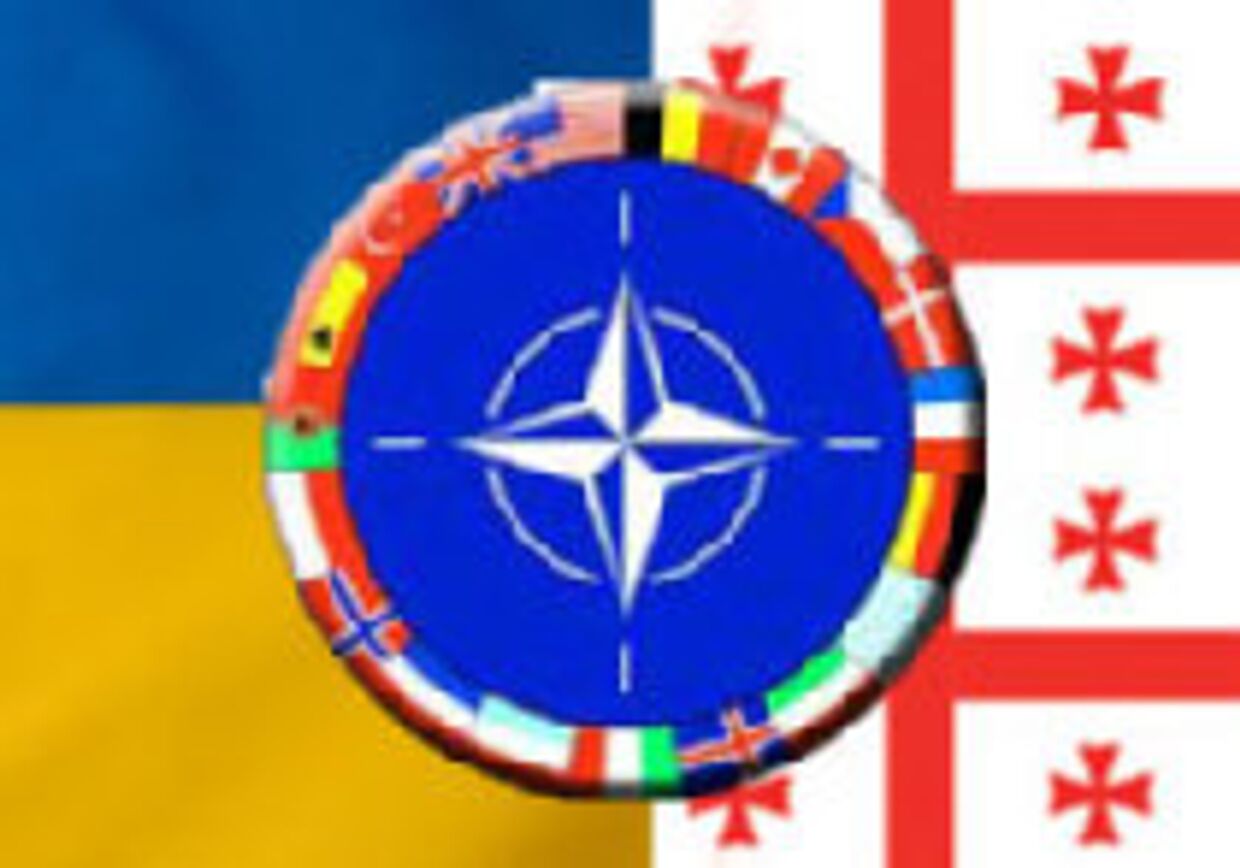 НАТО должна протянуть руку Украине и Грузии picture