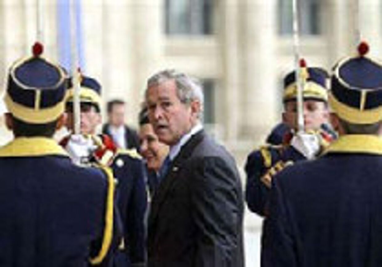 Саммит НАТО: В вопросе принятия Украины и Грузии Буш остался в одиночестве picture