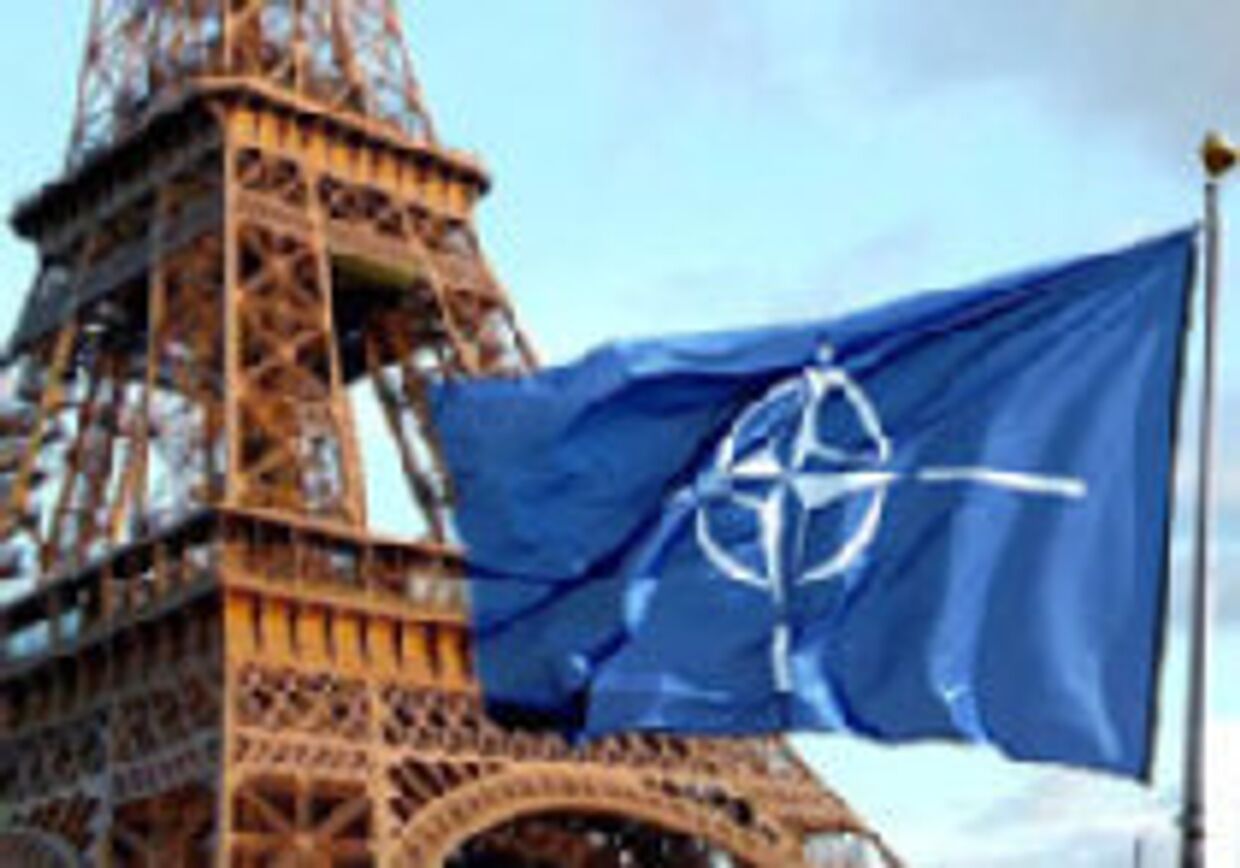 'Возвращение' Франции в НАТО положит конец лицемерию picture