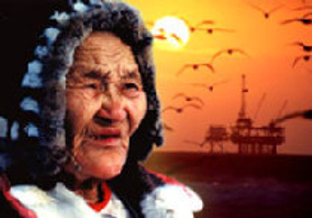 Нефтяная лихорадка на просторах Арктики picture