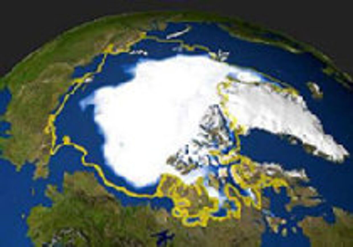 Арктика: полярные расхождения picture