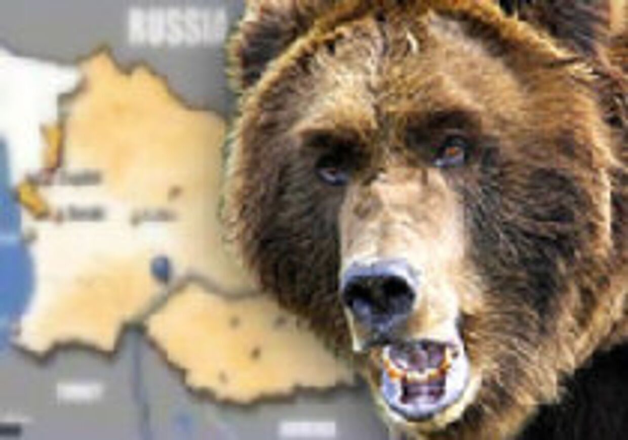 Жить рядом с русским медведем picture