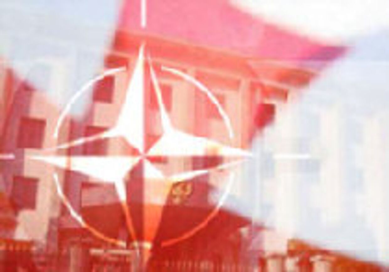 'Пустые слова' НАТО picture