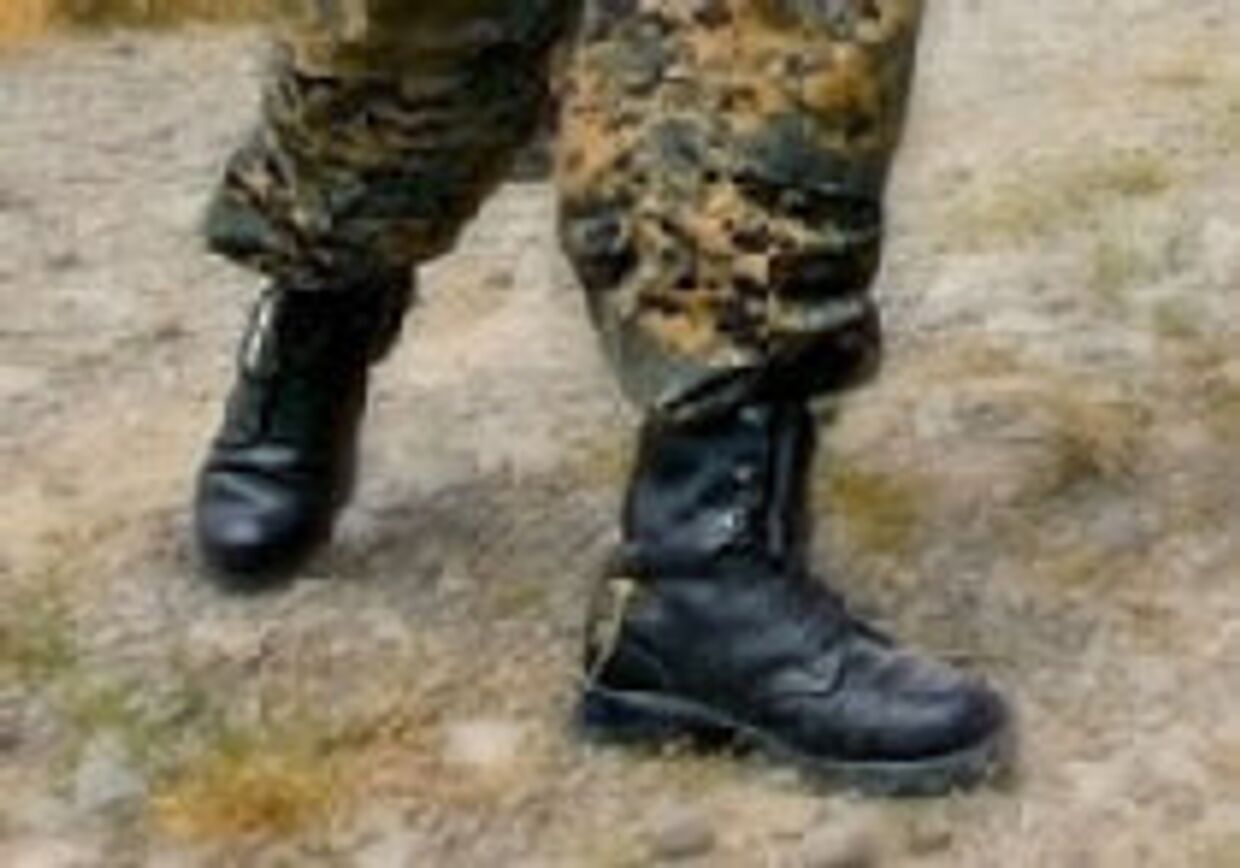 Эхо: эстонские добровольцы торгуют грузинскими военными ботинками? picture